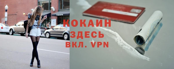 дживик Абинск