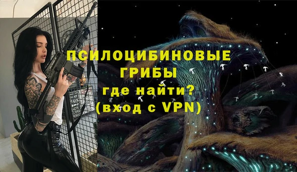дмт Алзамай